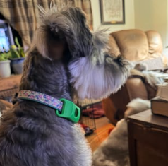 Review by Alastair W.