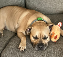 Review by Natalia W.