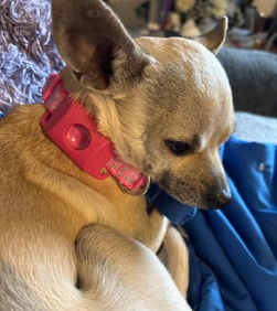 Review by Rebecca S.